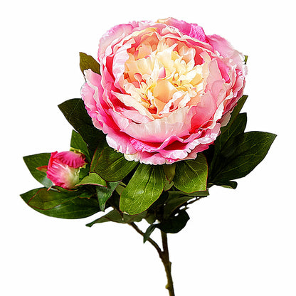 Realistic Silk Peony Flower with Long Stem – Ideal for Home Decor, Wedding Celebrations, and Photography Backdrops