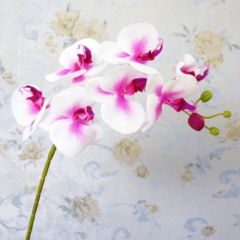 Realistic Fake Orchid Phalaenopsis Flower Stem - 7-Head Soft Touch Decorative Bloom for Weddings, Photography, and Home Décor