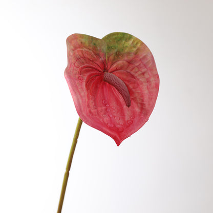 Realistic Tropical Green Plants - Miniature Red Anthurium for Stunning Garden Decoration & Landscape Design