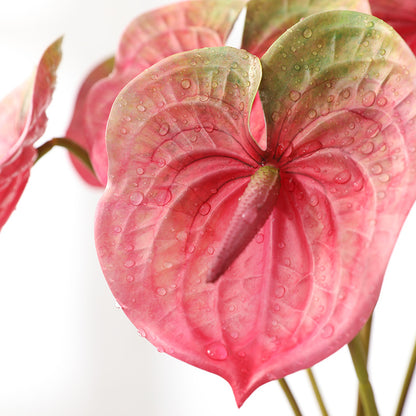 Realistic Tropical Green Plants - Miniature Red Anthurium for Stunning Garden Decoration & Landscape Design