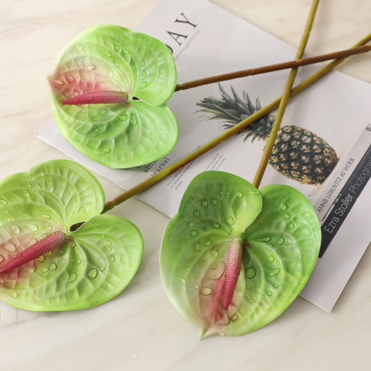 Realistic Tropical Green Plants - Miniature Red Anthurium for Stunning Garden Decoration & Landscape Design