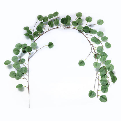 2-Meter Eucalyptus Leaf Vine for Baby's First Birthday Party Decoration and Wedding Decor – Perfect for Forest-Themed Events!