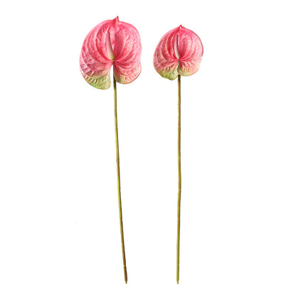 Realistic Tropical Green Plants - Miniature Red Anthurium for Stunning Garden Decoration & Landscape Design