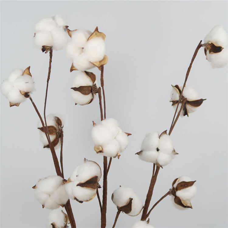 Realistic Artificial Dried Cotton Flower Branches -  Home Decoration for Living Rooms, Elegant Floral Arrangements for Weddings and Special Occasions