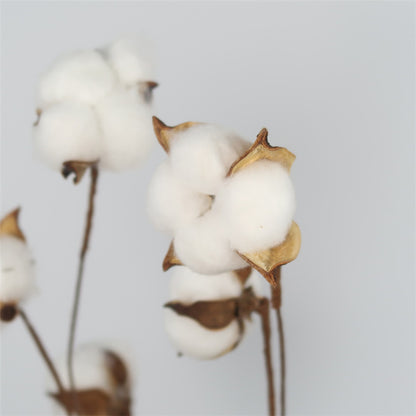 Realistic Artificial Dried Cotton Flower Branches -  Home Decoration for Living Rooms, Elegant Floral Arrangements for Weddings and Special Occasions