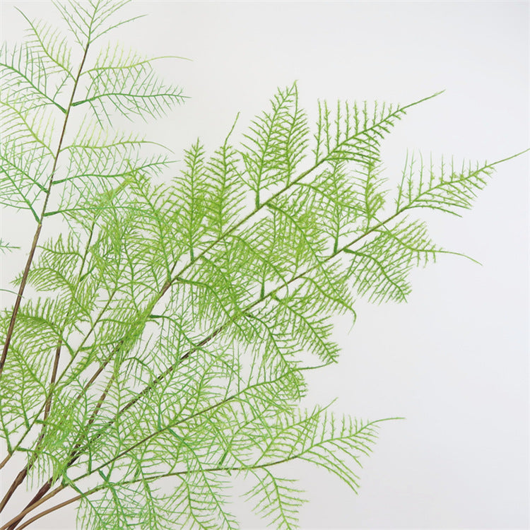 Nordic-Inspired Faux Green Plant - Elegant Asparagus Fern Branch for Home and Office Décor | Lush, Year-Round Greenery | Perfect Indoor Decorative Accent