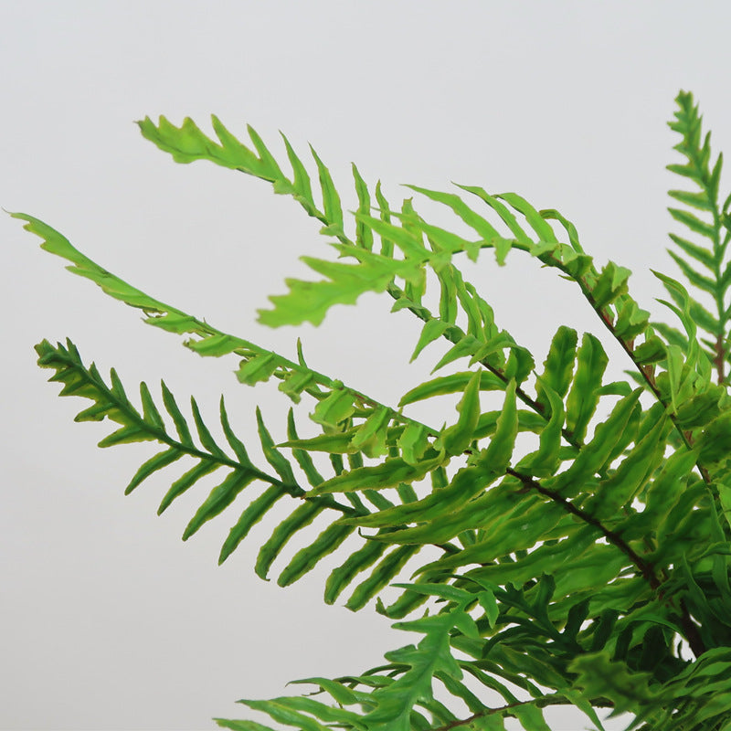 Ultra-Realistic Touch Green Plant – Lush Fern and Grass Combo for Home, Office, Balcony & Living Room Decor, Perfect for Indoor Plant Lovers