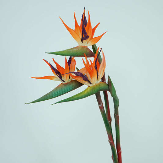 Soft Latex Bird of Paradise Single Stem Flower Decoration - High-Quality Realistic Decorative Home Accent for Elegant Floral Arrangements