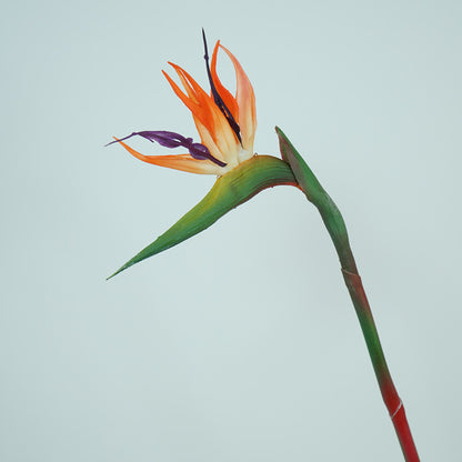 Soft Latex Bird of Paradise Single Stem Flower Decoration - High-Quality Realistic Decorative Home Accent for Elegant Floral Arrangements