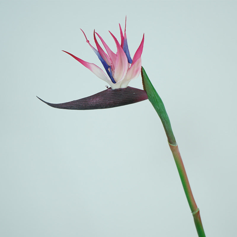 Soft Latex Bird of Paradise Single Stem Flower Decoration - High-Quality Realistic Decorative Home Accent for Elegant Floral Arrangements