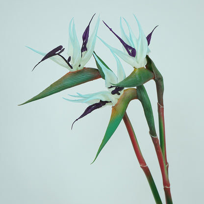 Soft Latex Bird of Paradise Single Stem Flower Decoration - High-Quality Realistic Decorative Home Accent for Elegant Floral Arrangements