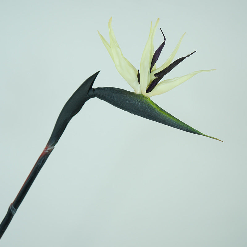 Realistic Touch Soft Rubber Bird of Paradise Flower - Stunning Orchid Stem for Weddings, Home Decor, and Artistic Floral Arrangements