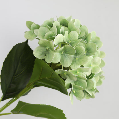 Beautifully Crafted Artificial Hydrangeas for Wedding Aisle Decor – Stunning 3D Printed Faux Flowers for Home Decoration