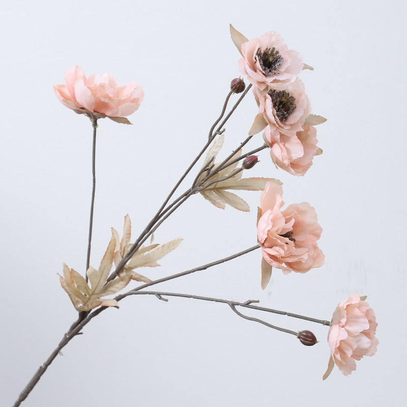 Stunning 6-Head Princess Peony Wedding Dried Flower Arrangement – Perfect for Home Décor, Event Styling, and Photography Props