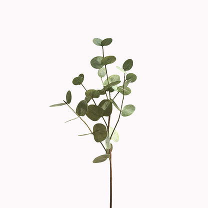 Realistic Long-Stemmed Eucalyptus Money Leaves – Artificial Faux Florals for Home Décor and French Floral Arrangements