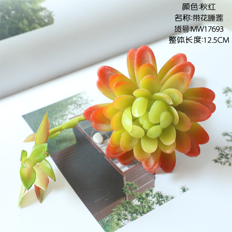 Realistic Artificial Water Lily Succulent Plant with Flowers - Perfect Home Decor for Weddings, Flower Walls, and Plant Displays - Model MW17693