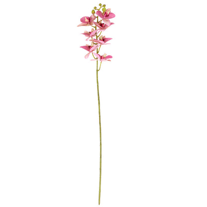 Realistic 3D Printed Single Stem Orchid - Stunning Decorative Faux Flower for Home Decor, Wedding Celebrations, and Photography Props