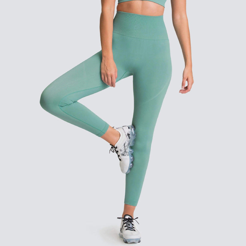 Seamless High Waisted Yoga Pants for Women Moisture Wicking Breathable Fitness Leggings with Extended Length for Maximum Comfort and Flexibility