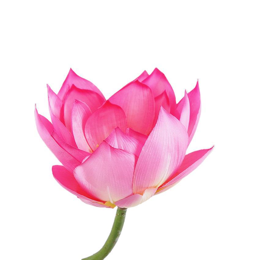 Realistic Lotus Flower Single Stem - Perfect for Home Decor, Altar Arrangements, Weddings, and Photography