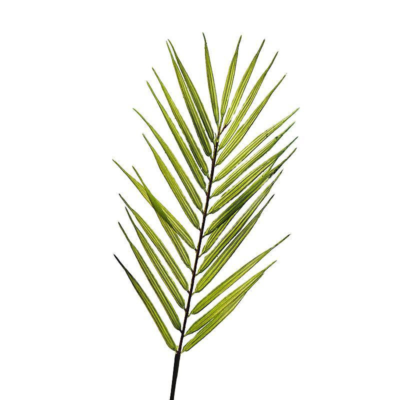 Lifelike Artificial Palm Leaves - Tropical Foliage for Weddings, Photography Props, and Floral Arrangements - Single Leaf Duplication for Enhanced Aesthetic Appeal