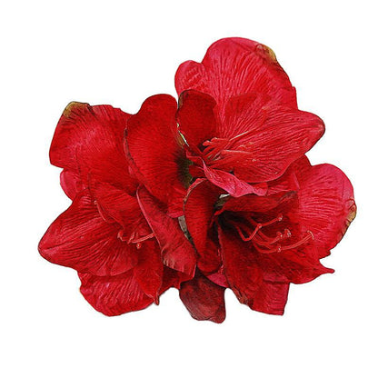 Vibrant Short-Stemmed Red Amaryllis - Realistic Artificial Flowers for Home Décor, Living Room Arrangements, Wedding Decor, and Photography Backdrops