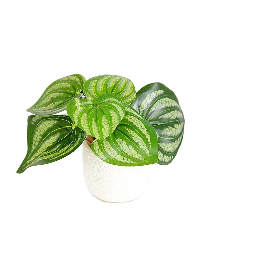 Realistic Small Green Plant Set - 6 Pieces of Delicate Watermelon Leaves and Dracaena for Stunning Miniature Wall Decor and Tabletop Arrangements