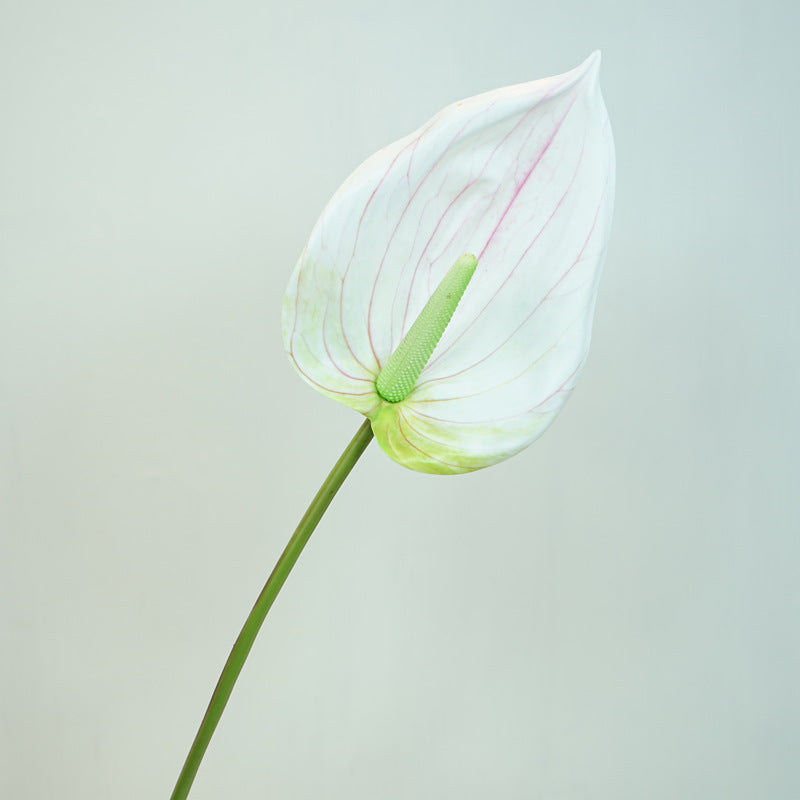 Stunning Faux Flowers: Zen Lotus & Red/White Heart Leaf Plants for Living Room Decoration, TV Cabinet Decor, Wedding Floral Accents, and Photography Props