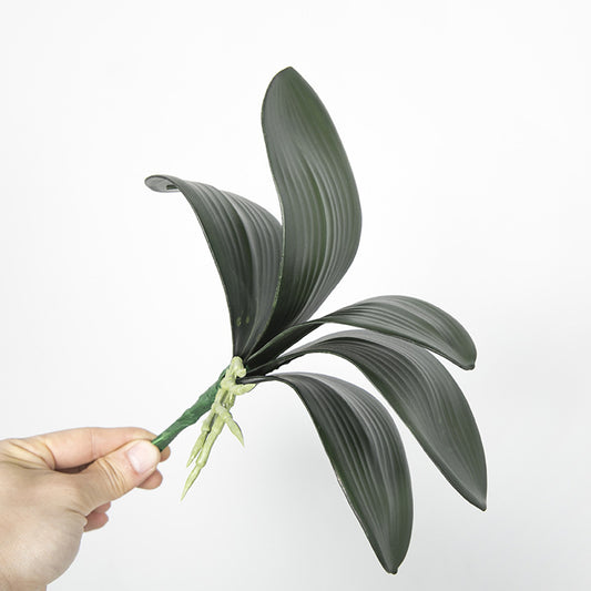 Realistic Touch Faux Orchid Leaf for Home Decor – Perfect for Staging, Floral Arrangements, and Lush Greenery