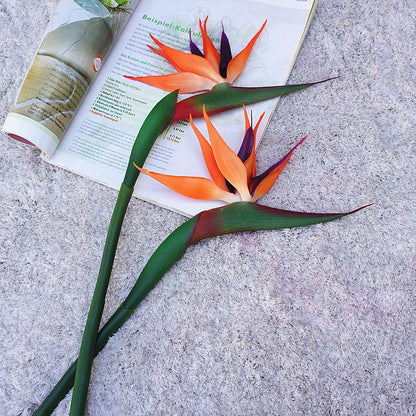 Realistic Strelitzia Bird of Paradise Artificial Flower Stem – Perfect Home Decor Accent, Wedding Decoration, and Photography Prop