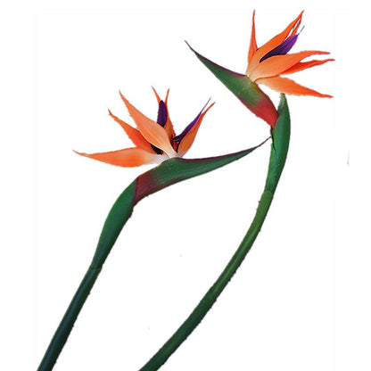 Realistic Strelitzia Bird of Paradise Artificial Flower Stem – Perfect Home Decor Accent, Wedding Decoration, and Photography Prop