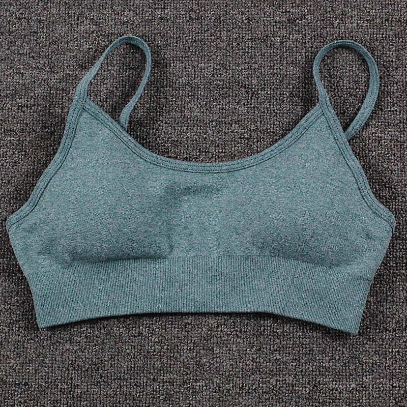 Quick Dry Seamless Yoga Sports Bra for Women and Comfortable Activewear with Supportive Back Design for All Day Wear