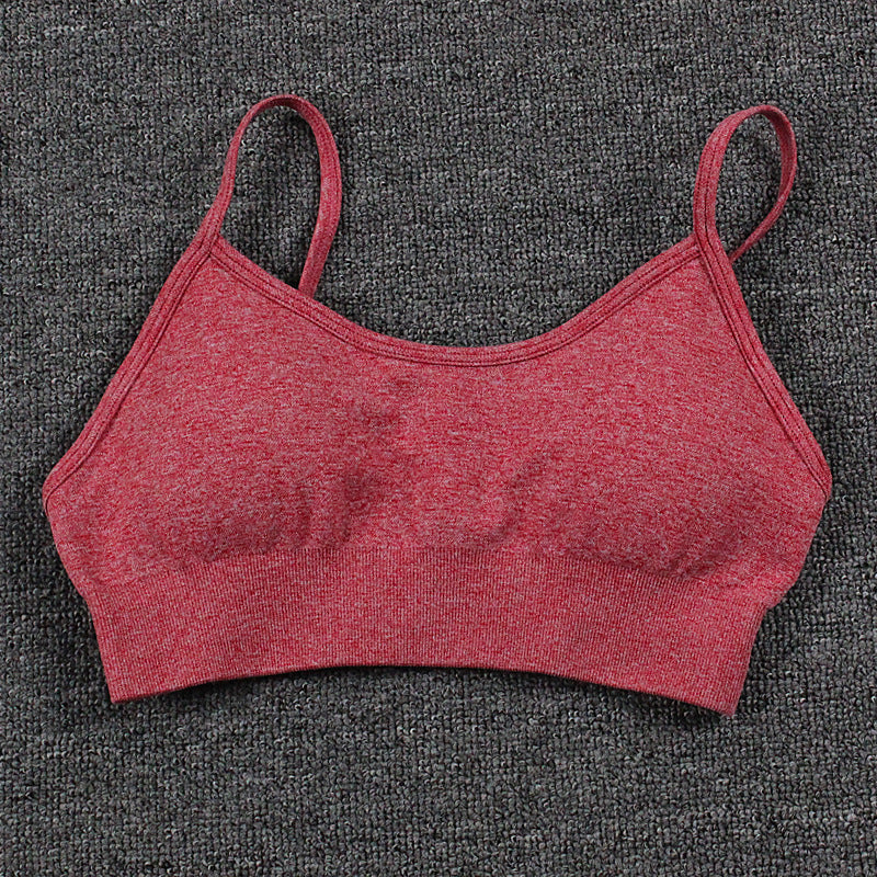 Quick Dry Seamless Yoga Sports Bra for Women and Comfortable Activewear with Supportive Back Design for All Day Wear