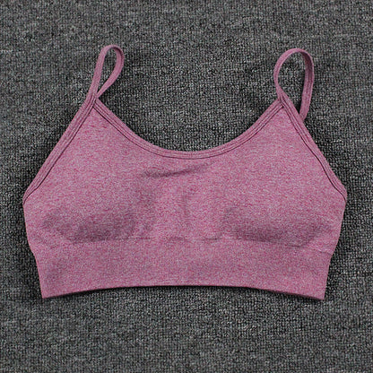 Quick Dry Seamless Yoga Sports Bra for Women and Comfortable Activewear with Supportive Back Design for All Day Wear