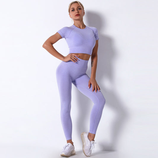 Seamless Knit Fitness Set Short Sleeve Top and Long Pants Yoga Apparel for Comfort and Performance