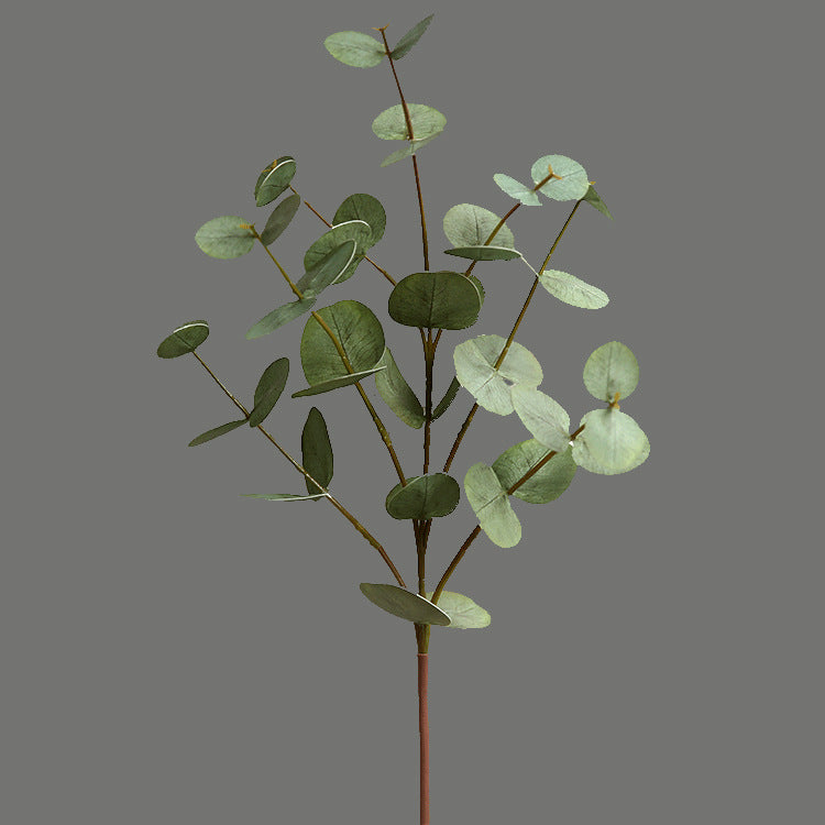 Realistic Long-Stemmed Eucalyptus Money Leaves – Artificial Faux Florals for Home Décor and French Floral Arrangements