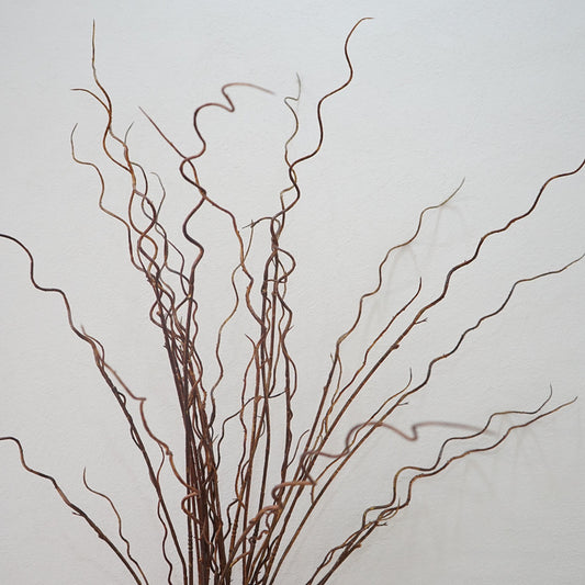 Lifelike Dry Branches Decorative Plant - Elegant Minimalist Home Décor for Showrooms and Sales Offices