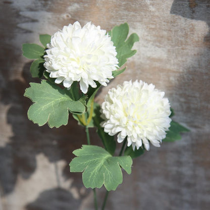 Stunning Faux Flower Dandelion & Hyacinth Wedding Backdrop for Home Décor - Gorgeous Rose Photography Scene - DY1-1087