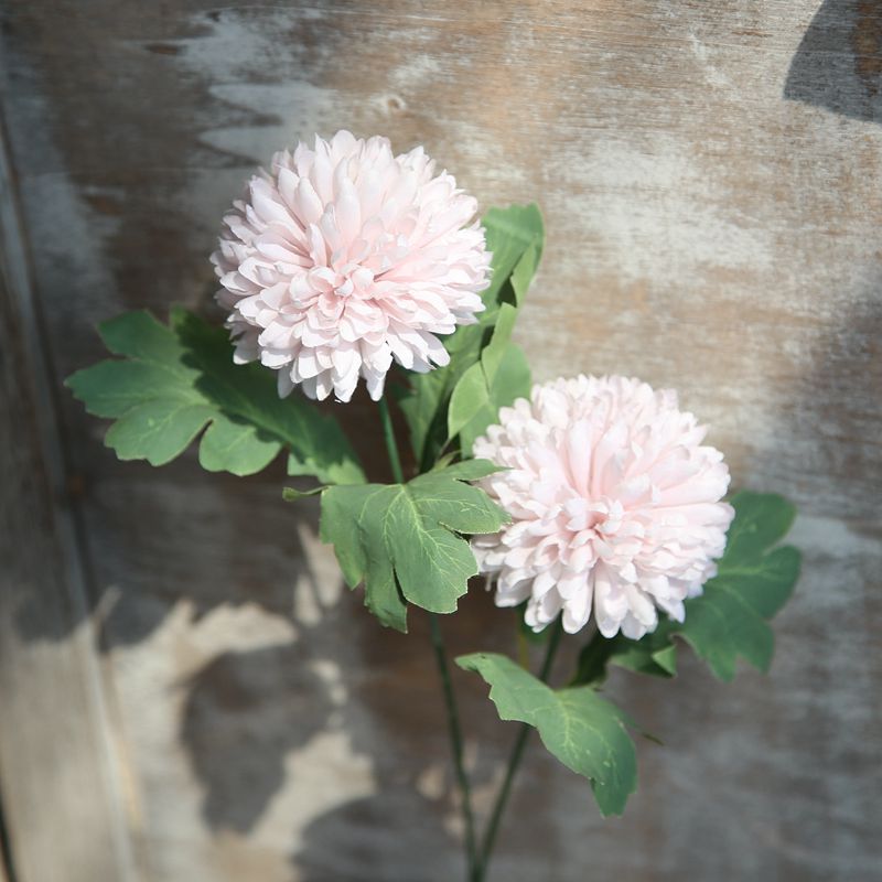 Stunning Faux Flower Dandelion & Hyacinth Wedding Backdrop for Home Décor - Gorgeous Rose Photography Scene - DY1-1087