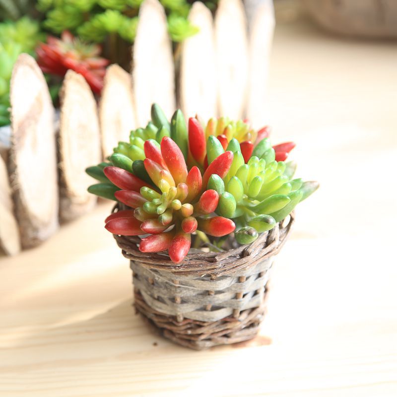 Vibrant Faux Chili Pepper Fruit - Lifelike Artificial Indoor Plant Wall Decoration - Ideal for Miniature Landscapes and Succulent Arrangements - Model MW17674