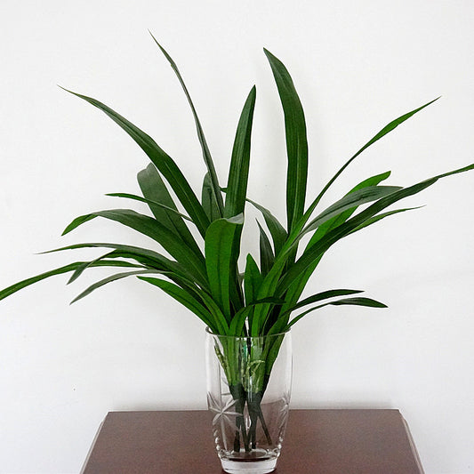 Realistic Orchid Leaves - 6 Pack Faux Plastic Greenery for Home Decor, Perfect for Flower Arrangements and Stylish Interior Accents