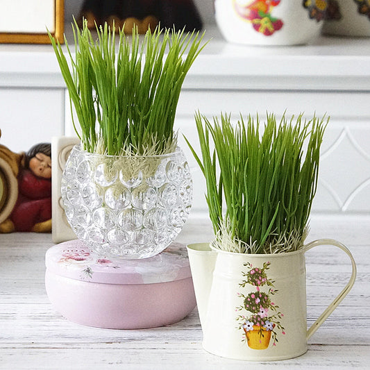 Realistic Plastic Water Grass and Wheat Sprouts (Creamy White Roots) - 12 Stems per Bundle for Home Décor and Decorative Accents