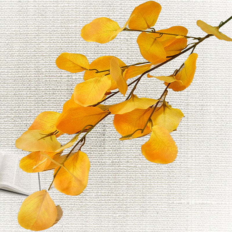 Elegant Nordic Eucalyptus Leaves - Lively and Airy Home Decor for Weddings and Photography