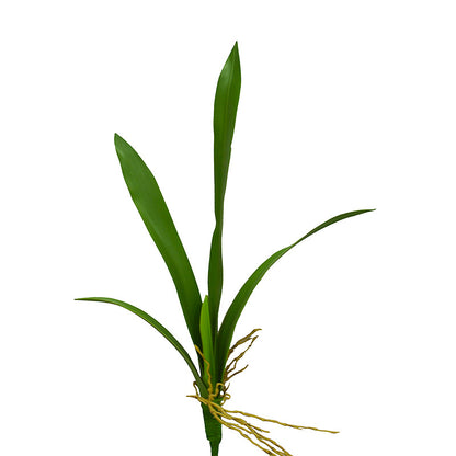 Lifelike Orchid Leaves Artificial Green Plant Home Decor Accent - Perfect for Indoor and Outdoor Settings!