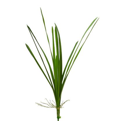 Lifelike Orchid Leaves Artificial Green Plant Home Decor Accent - Perfect for Indoor and Outdoor Settings!