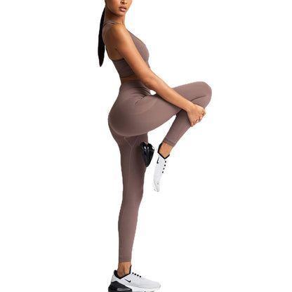 Seamless Knitted Body Shaping Sportswear Set with Moisture Wicking Technology Back Design and Enhanced Butt Lifting Support for Yoga Fitness and Active Lifestyle