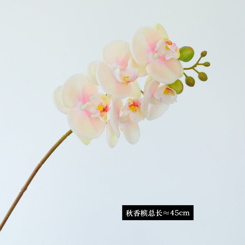 Luxurious Single Stem 5-Head Orchid Simulation Flower for Home and Hotel Decor – Perfect for Weddings, Events, and Stylish Interiors