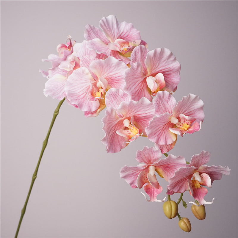 9-Stem European-Style Orchid Bloom Arrangement – Chic Korean-Inspired Floral Decor for Stunning Photography and Elegant Home Decor