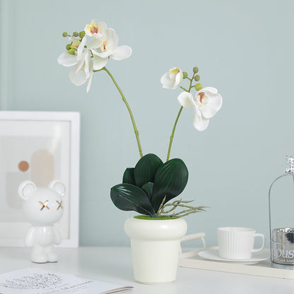 Lifelike Dual-Stem Orchid with Moisture-Infused Leaves –  Home and Hotel Decor for Elegant DIY Floral Arrangements