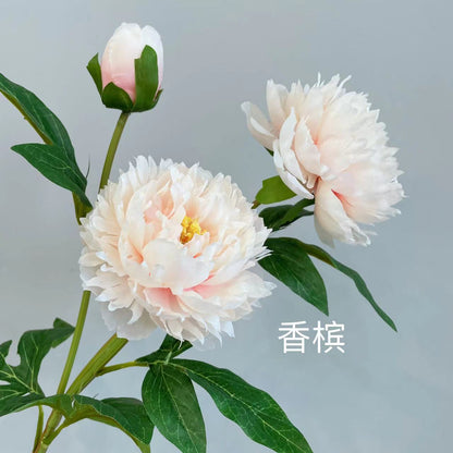 Elegant Home Décor: Long-Stemmed Peony and Paeonia Flowers Bouquet for Living Room | Stunning Soft Decoration with 3-Heads Including Royal Peony