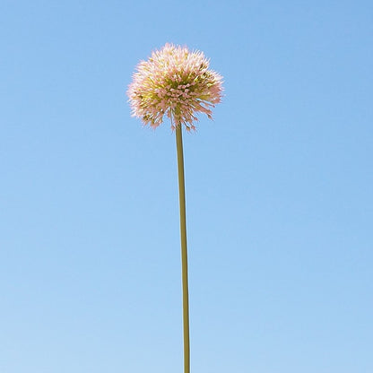 Lifelike Decorative Artificial Allium Flower Stem - Perfect for Home, Hotels, and Event Decor | Elegant Silk Floral Arrangement for Weddings and Photography